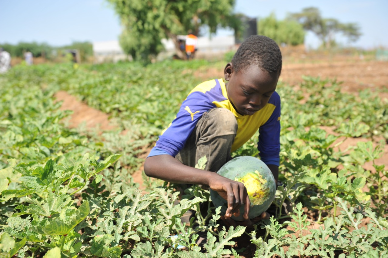 Seeds Of Hope: Gardening Helps Refugees Thrive Despite Ongoing Drought ...